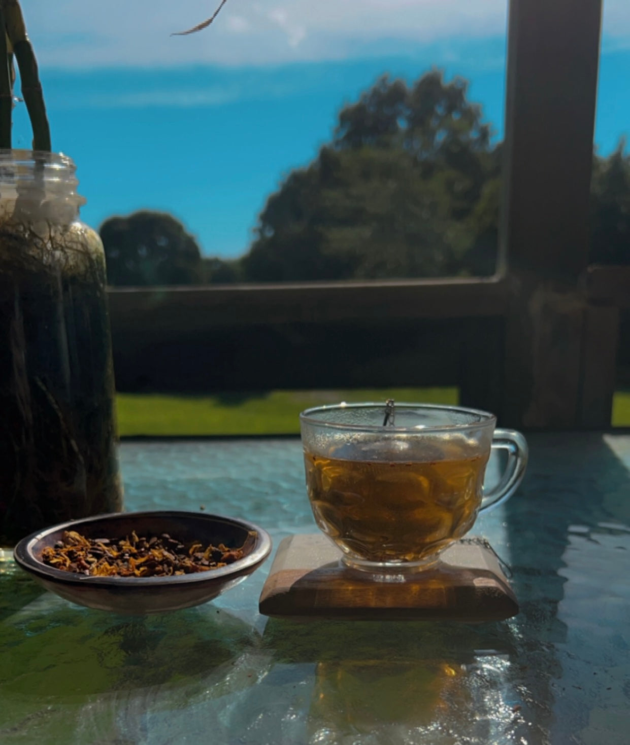 Apple Cinnamon Tisane Tea