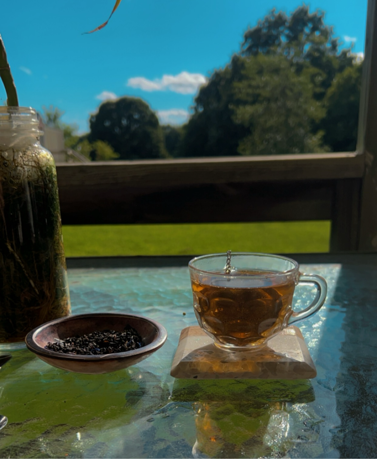 Tropical Fruit Tea