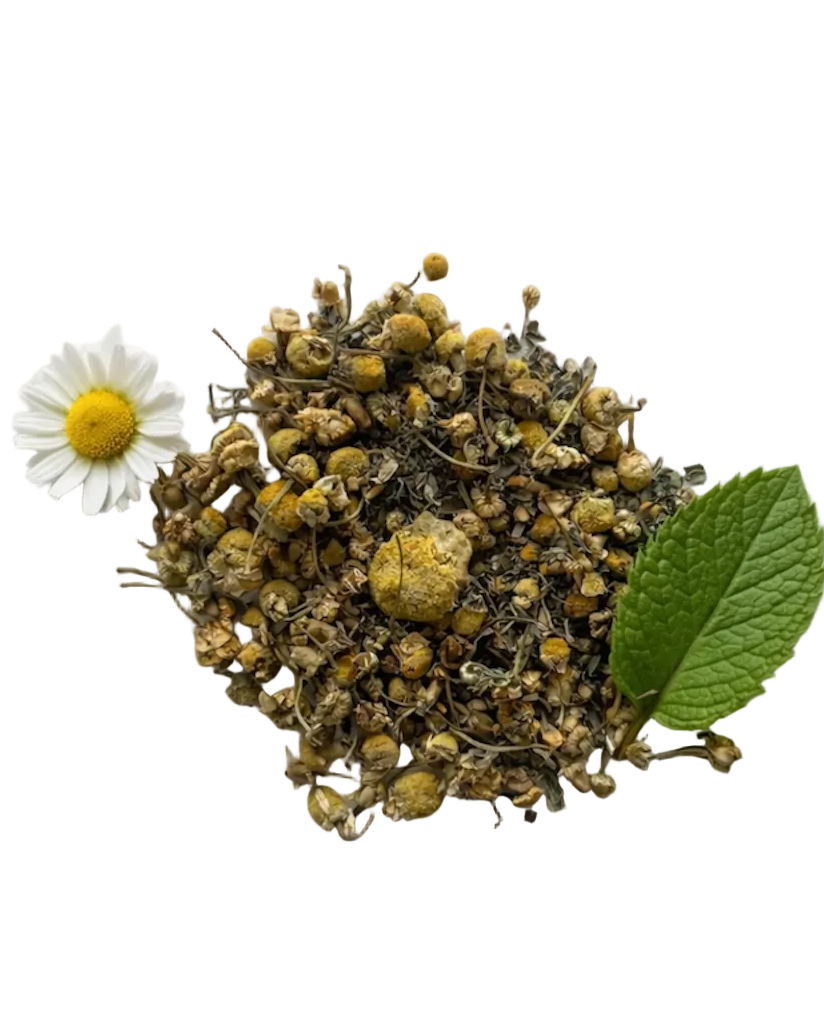 Chamomint Tea